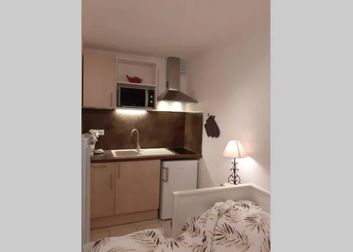 Grazel Classe 1 Etoile Au Calme Rez De Chaussee Avec Piscine Et Jardin *