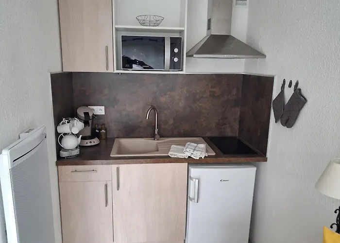 Grazel Classe 1 Etoile Au Calme Rez De Chaussee Avec Piscine Et Jardin 公寓