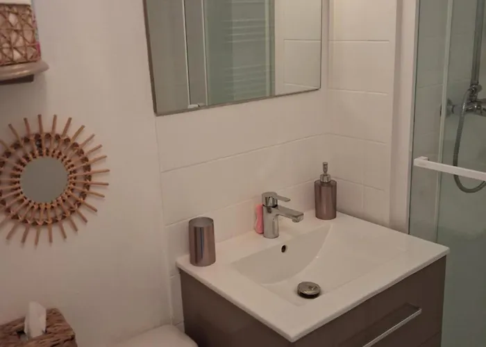 아파트 Studio Grazel Jardin Ensoleille Avec Piscine Et Clim Classe 1 Etoile *