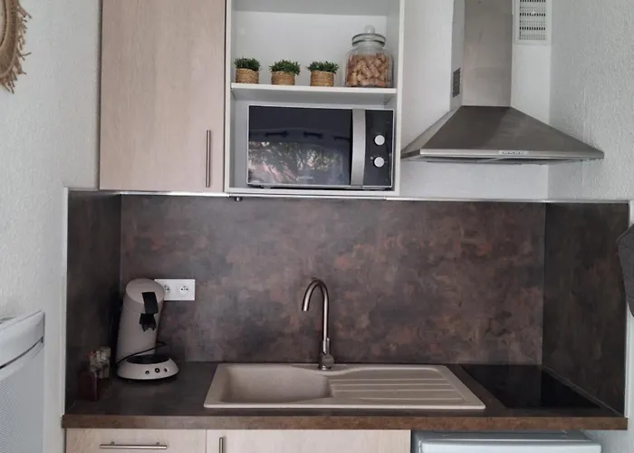 Apartment Grazel Classe 1 Etoile Au Calme Rez De Chaussee Avec Piscine Et Jardin Gruissan
