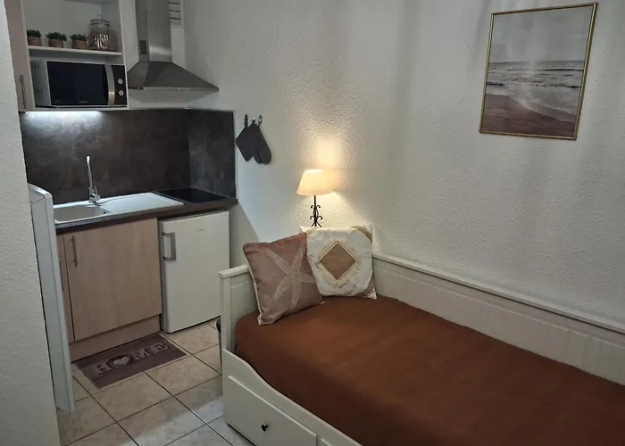 Studio Grazel Jardin Ensoleille Avec Piscine Et Clim Classe 1 Etoile 아파트 *